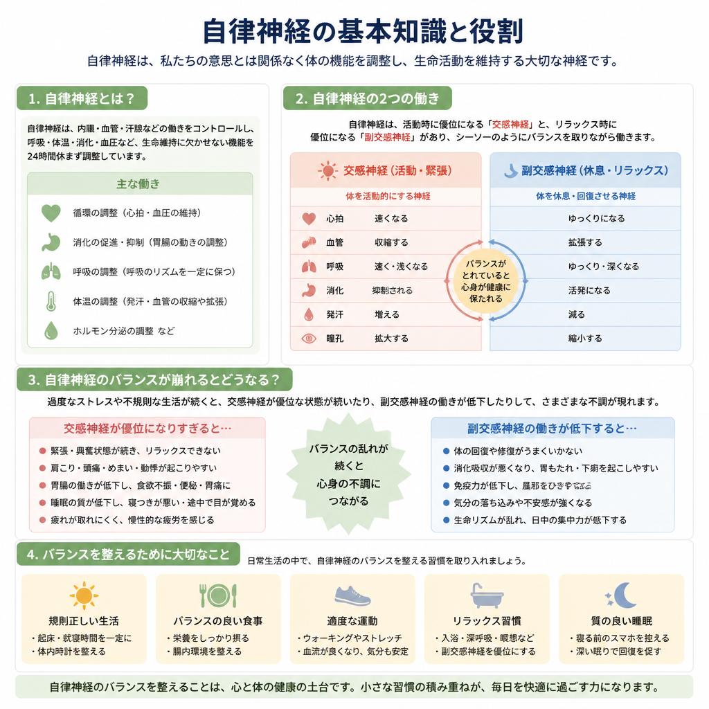 2. 自律神経とは？