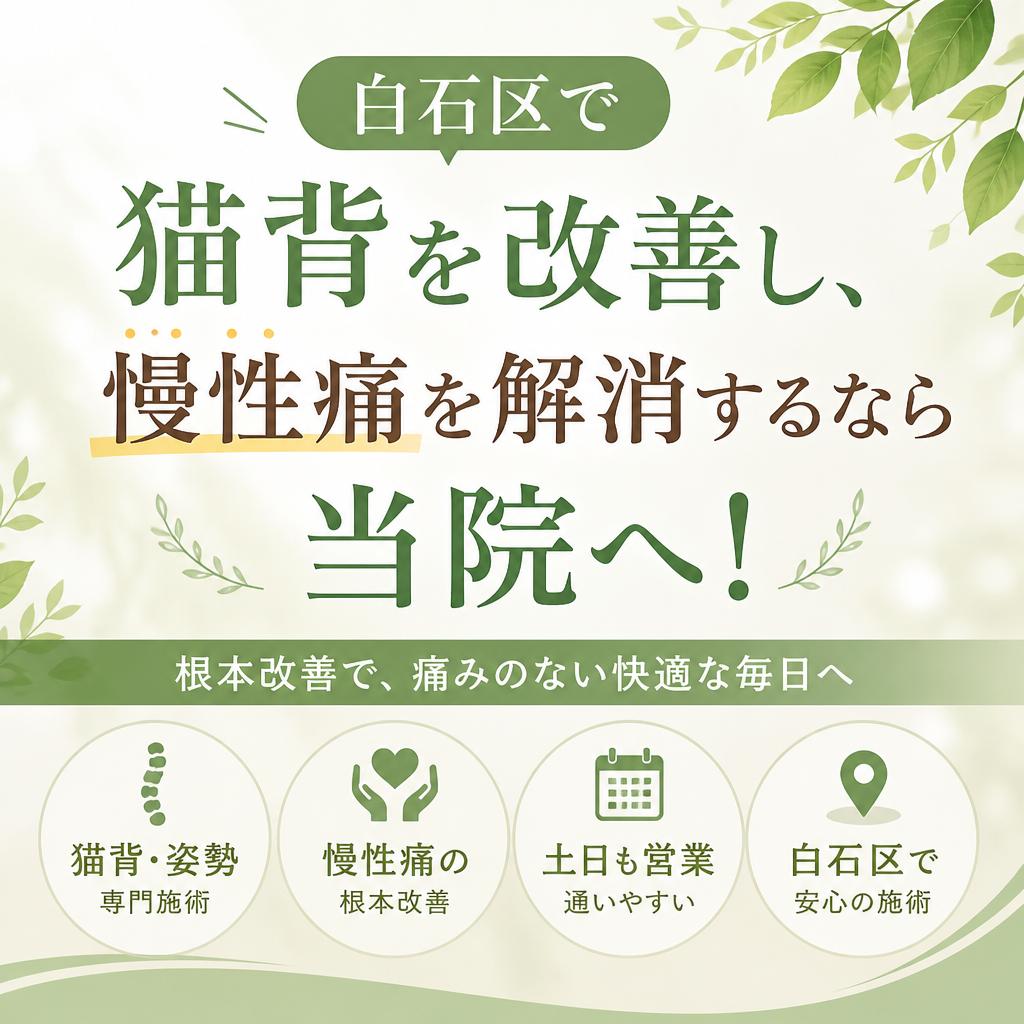 白石区で猫背を改善し、慢性痛を解消するなら当院へ！